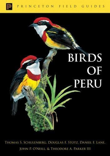 Birds of Peru (Princeton Field Guides, 44)